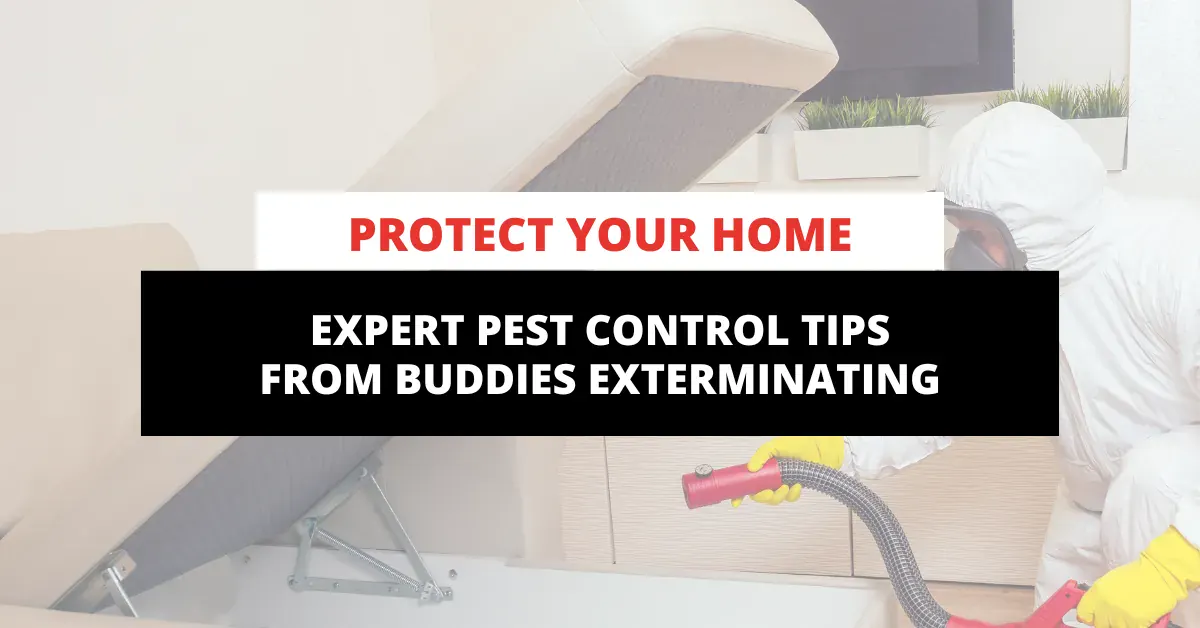 Protect Your Home: Expert Pest Control Tips from Buddies Exterminating