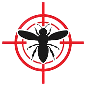 Bees & Wasp Control
